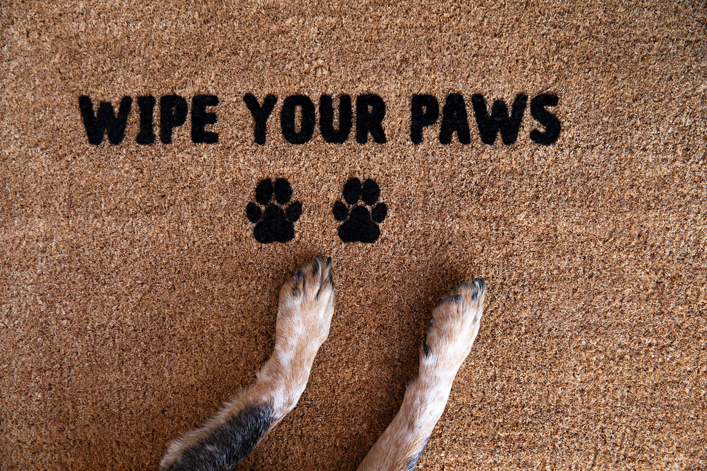 Wipe Your Paws Doormat Embossed